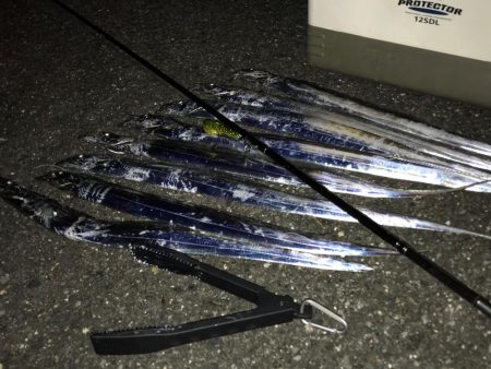 「フルボッコ」でボッコボコ！